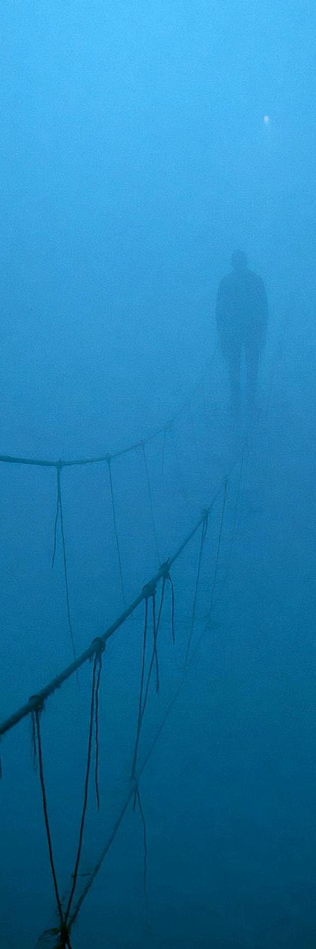Bridge in Blue wallpaper artwork