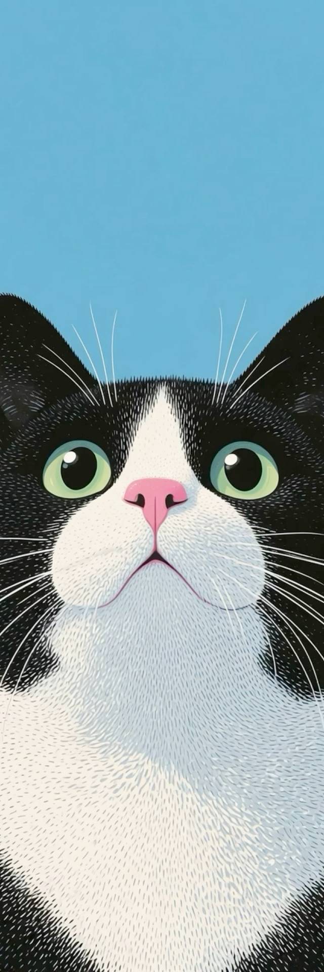 Tuxedo Cat Looks Up wallpaper artwork
