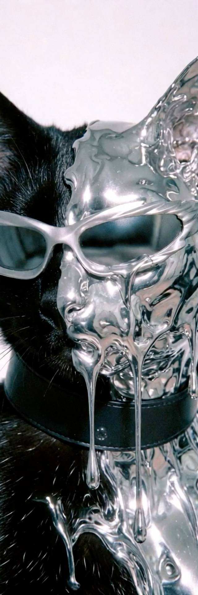 Chrome Cat wallpaper artwork