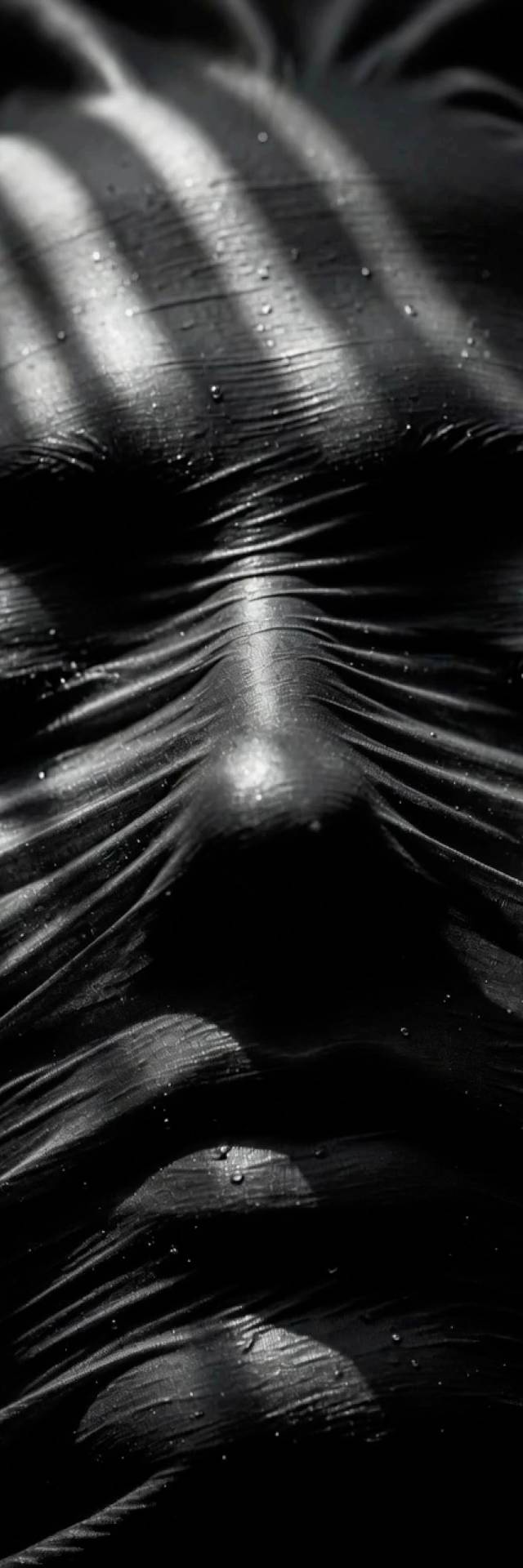 Striped Veil wallpaper artwork