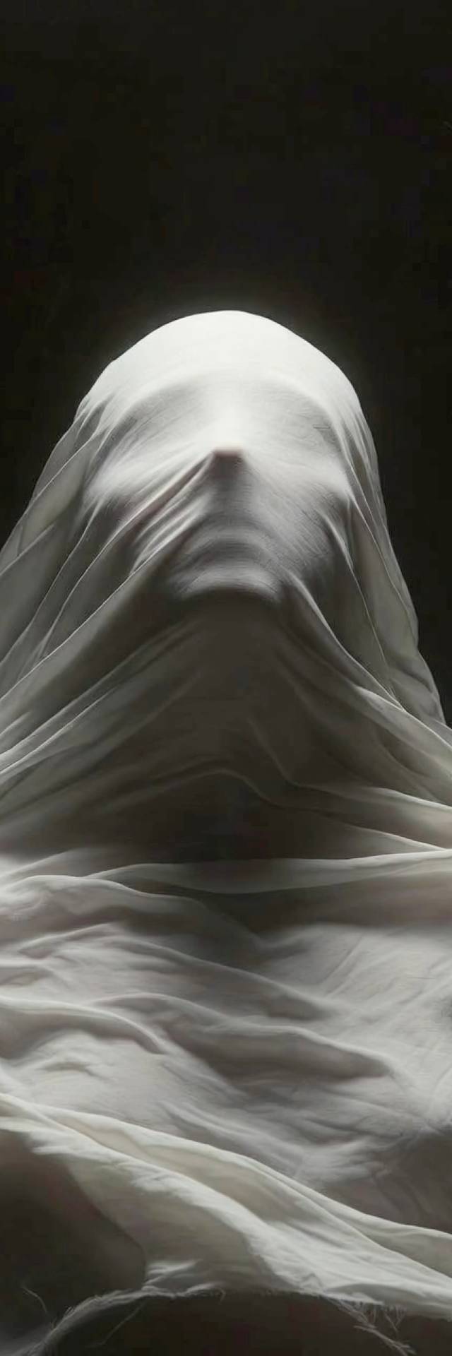 Veiled Form wallpaper artwork
