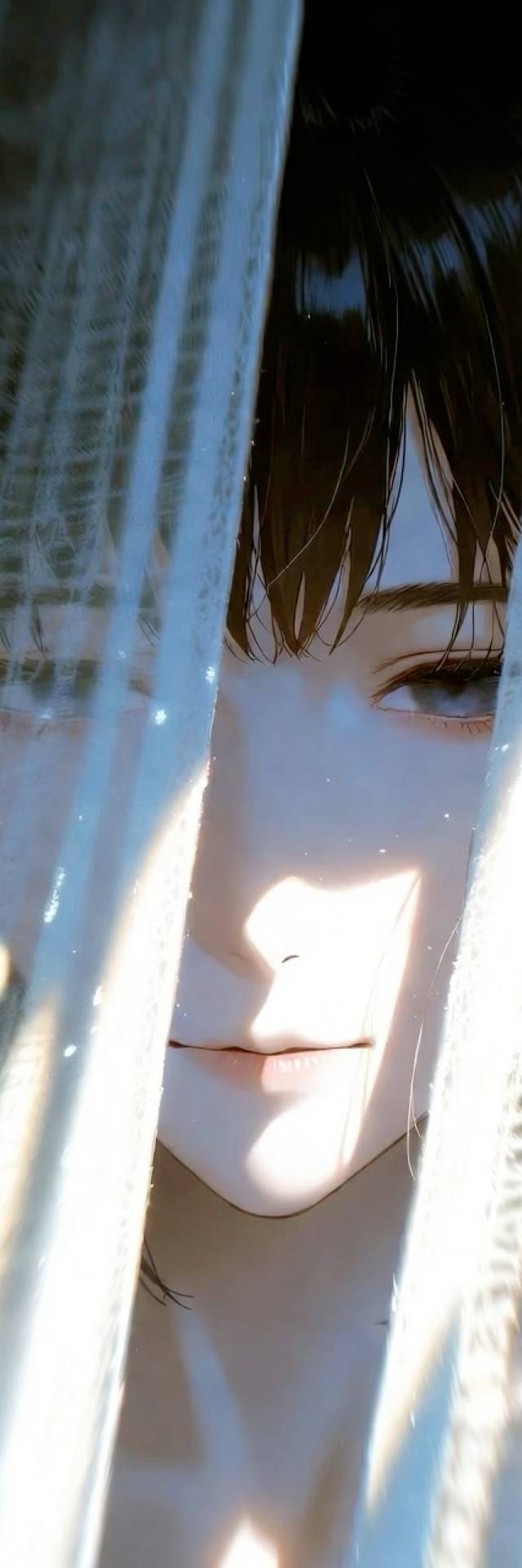 Curtain Gaze wallpaper artwork